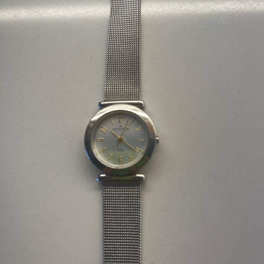 Skagen Silver-Tone Mesh Band Watch